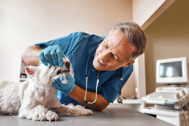Best Emergency Dental Care for Trauma or Injury in Lake Hiawatha, NJ
