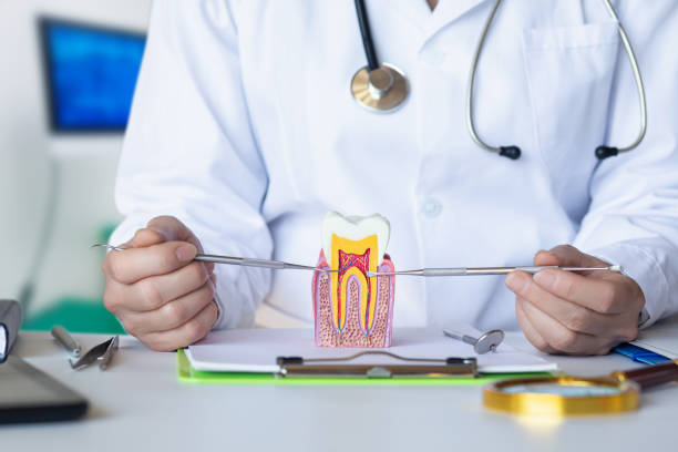Best Emergency Broken Tooth Repair in Lake Hiawatha, NJ